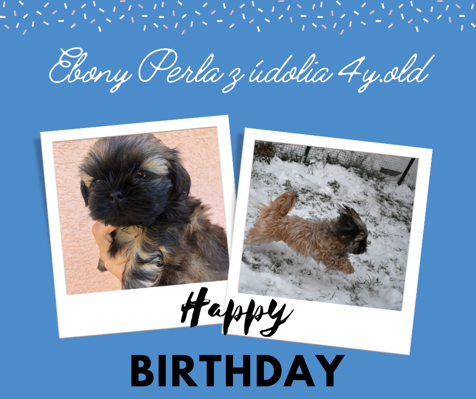 Ebony Perla z údolia má narozeniny - 4 roky