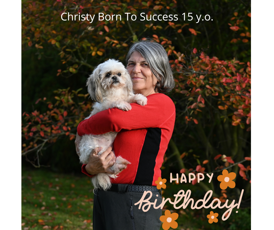 Shih-Tzu Christy Born To Success 15 let