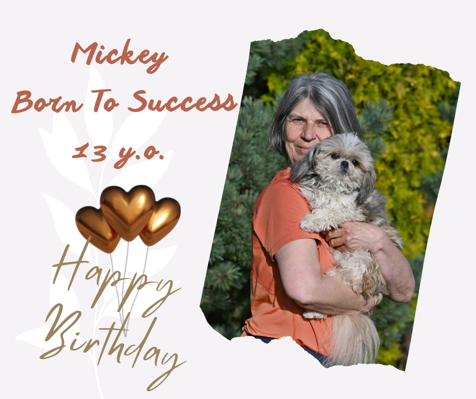 Mickey Born To Success 13 y.o.
