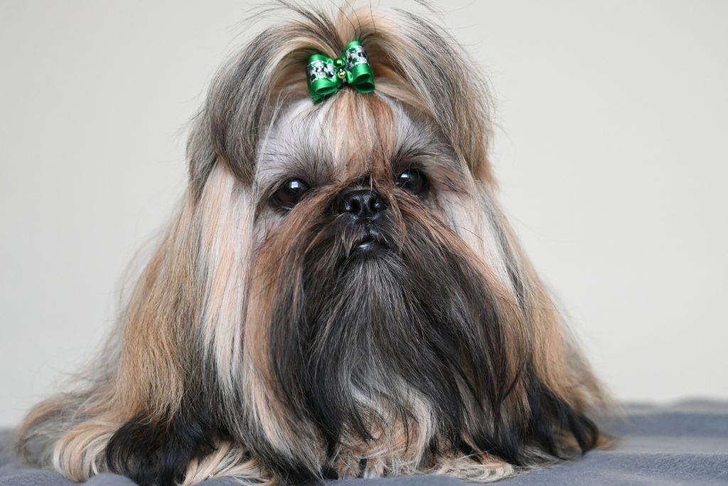 Oh My Love Born to Success