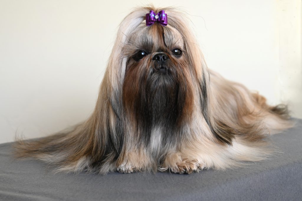 Oh My Love Born to Success