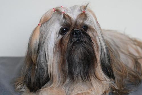 Oh My Love Born to Success